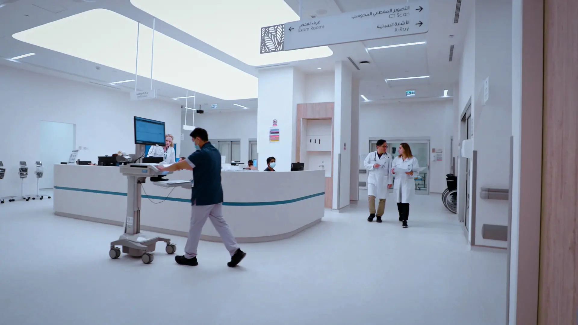 Image Gallery - Image 6