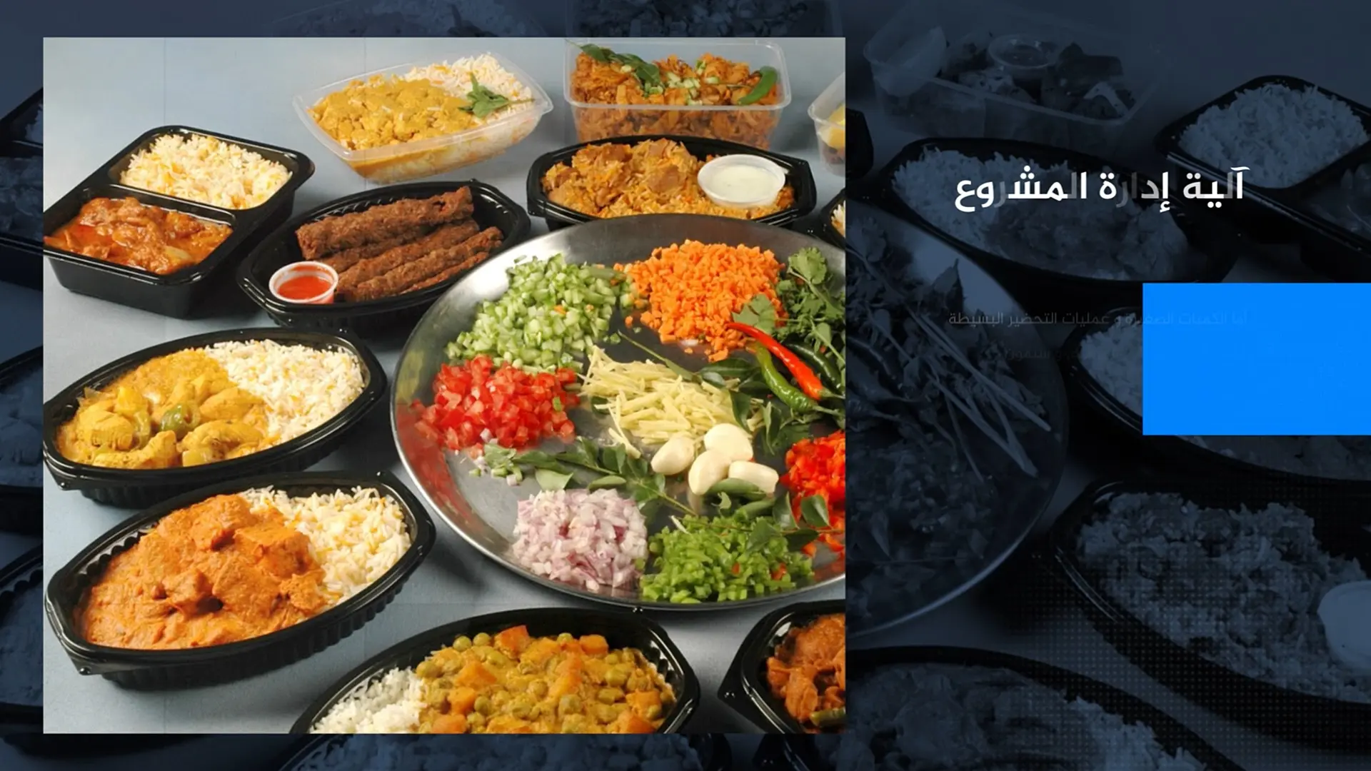 Image Gallery - Image 2