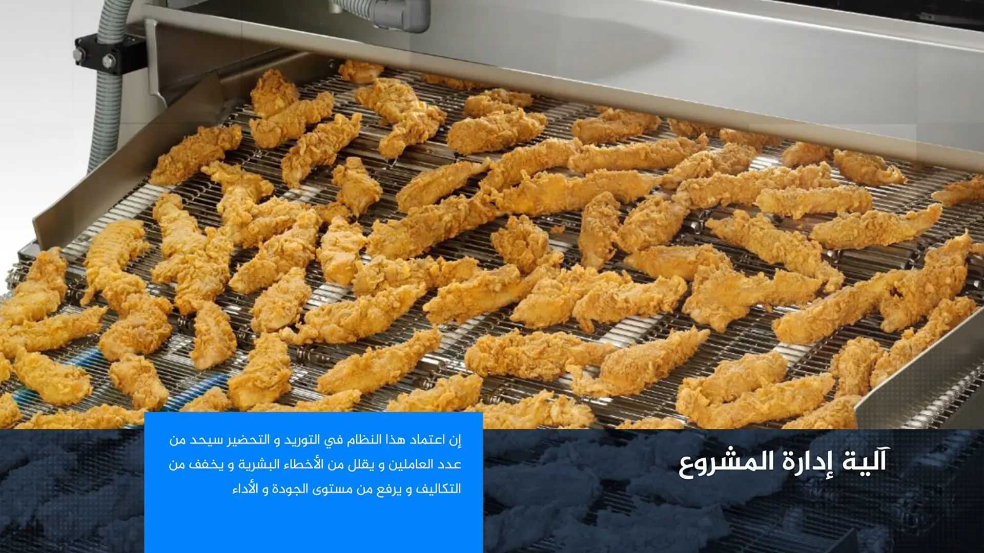 Image Gallery - Image 3