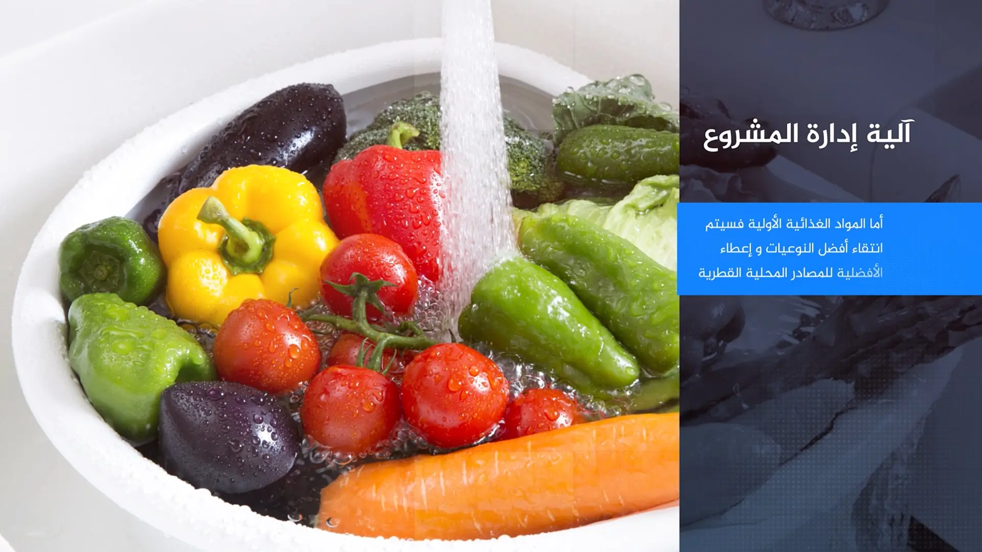 Image Gallery - Image 4